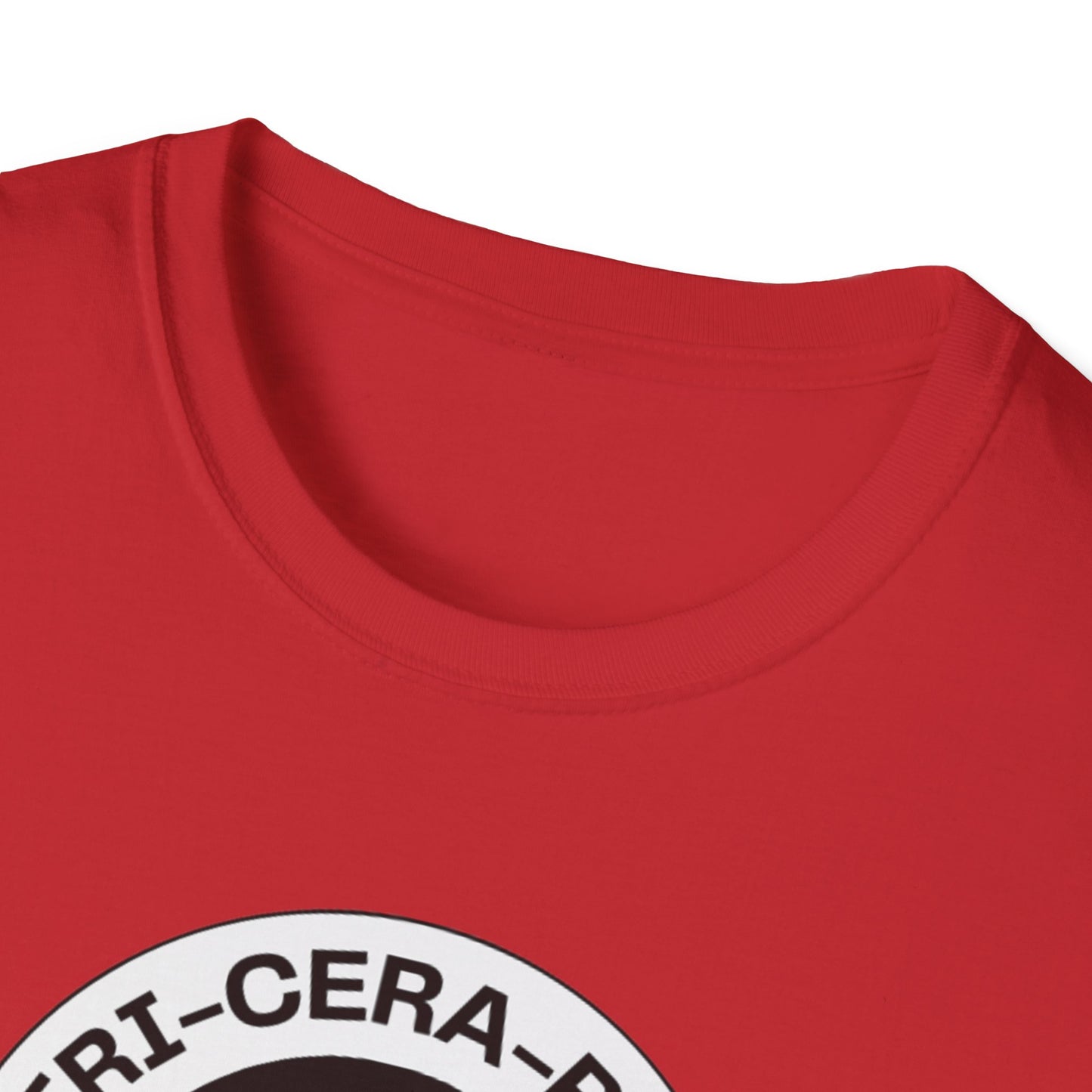 'Tri-Cera-Plet- Roarsome Dada"-Dinosaur Theme- Family Matching Set for Triplets and their Parents