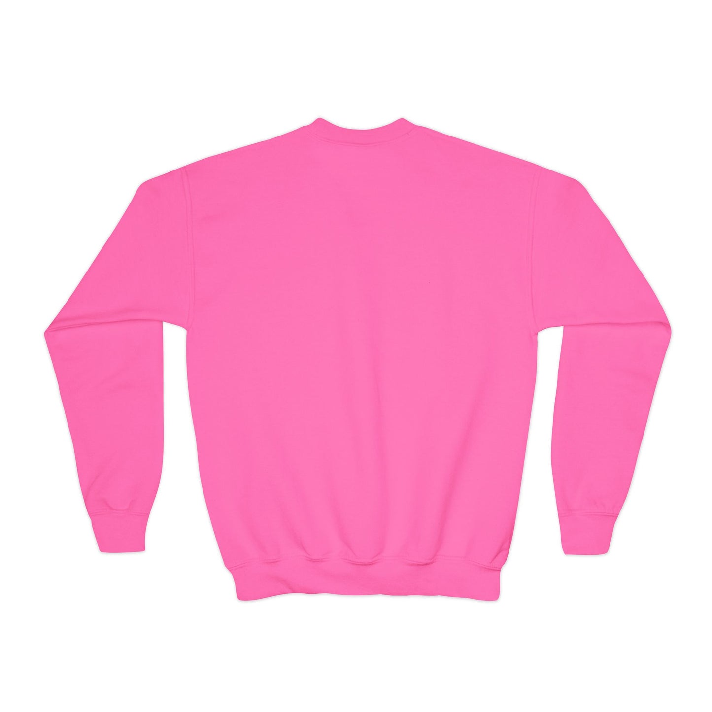 Cheer Twins -Sweatshirt — 'Double the Wins'