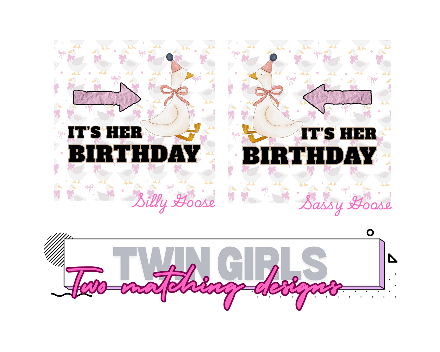 Silly and Sassy Goose Birthday Twin Girls Matching Set